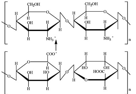 Structures And Scheme Of Chitosan Alginate Interaction Download