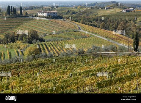 Collio High Resolution Stock Photography And Images Alamy