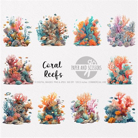 Coral Reefs Clipart Coral Reefs Png Coral Illustration Coral Clipart