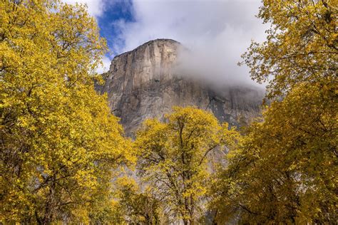 Yosemite Fall Colors (Hiker) Photo Workshop