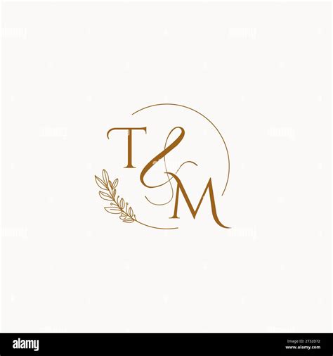 Tm Initial Wedding Monogram Logo Design Ideas Stock Vector Image Art