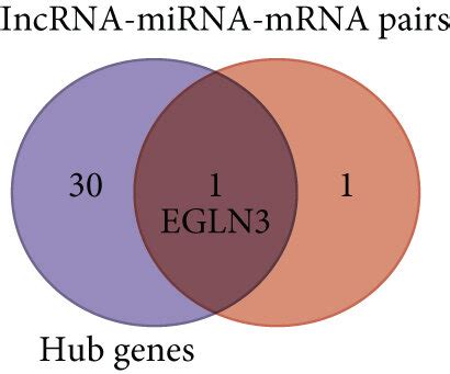 Cerna Network Construction Notes A Sankey Diagram For The