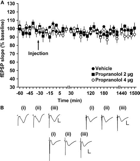 β adrenergic receptor antagonism does not alter basal synaptic