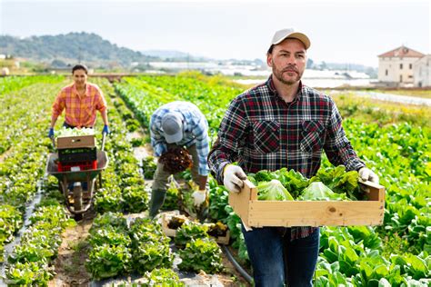 Cosa Sapere Sul Lavoro Dei Parenti In Agricoltura Economia E Politica