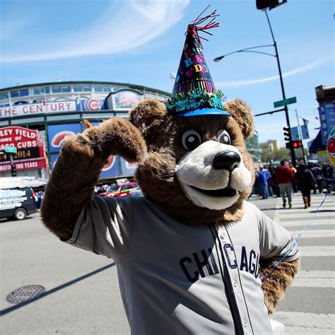 Chicago Cubs sue over fake mascot that got into bar fight