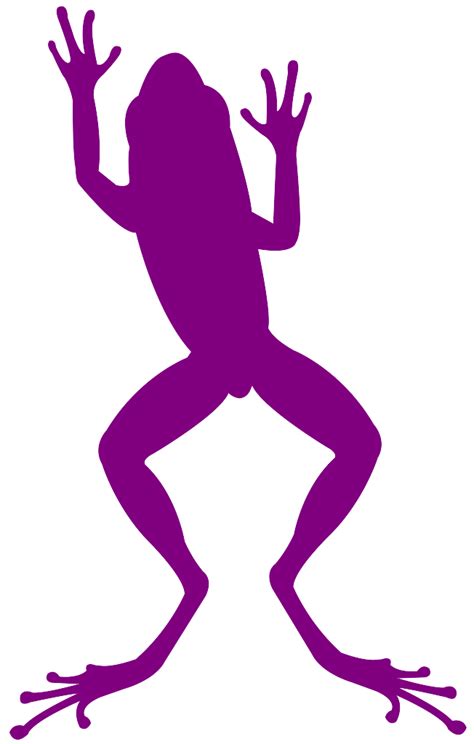 Jumping Frog Silhouette | Free vector silhouettes