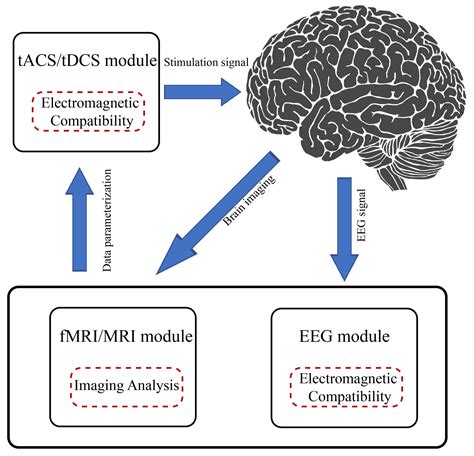 Biomedicines Free Full Text Noninvasive Electrical Stimulation