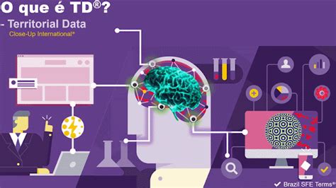 O Que Significa Td - Brazil SFE Terms®: O que é TD® - Territorial Data?