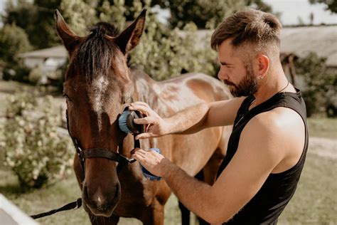 10 Ways To Take Better Care Of Your Horse Petlovestudio