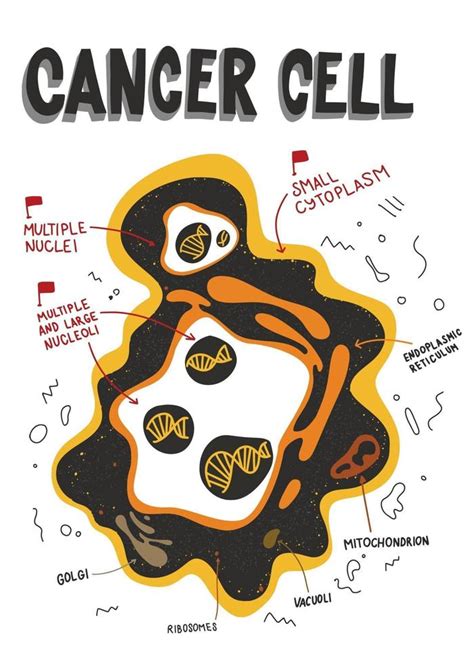 Cancer cells structure. Labeled Cancer cell anatomy. characteristic of ...