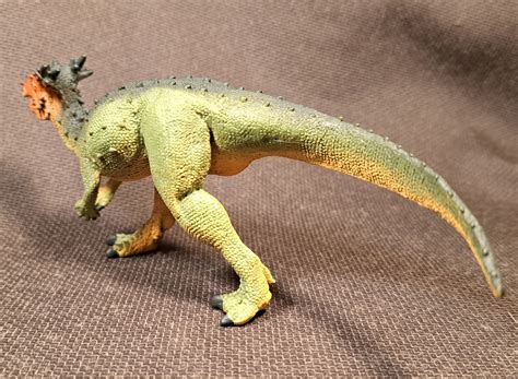 Safari Ltd Dinosaur Toy Dracorex Hogwartsia Collectors Weekly