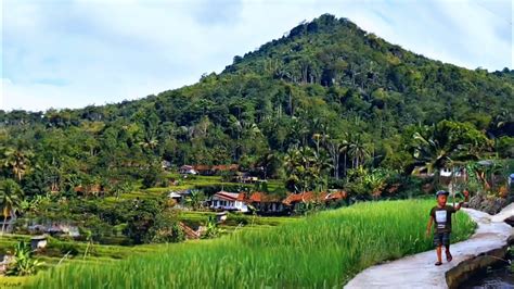 Masyaalloh Bikin Ketagihan Datang Ke Kampung Ini Indah Sejuk Alam