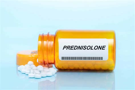 Prednisolone 20mg Le Guide Complet Du Médicament Information