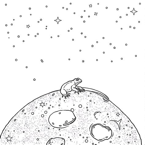 can lizard weak for beginners 1