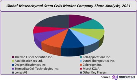 Mesenchymal Stem Cells Market Analysis Trends Forecast 2032