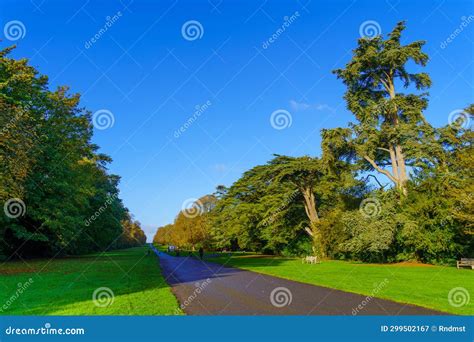 Cirencester Park, in Cirencester Stock Image - Image of bench, urban ...