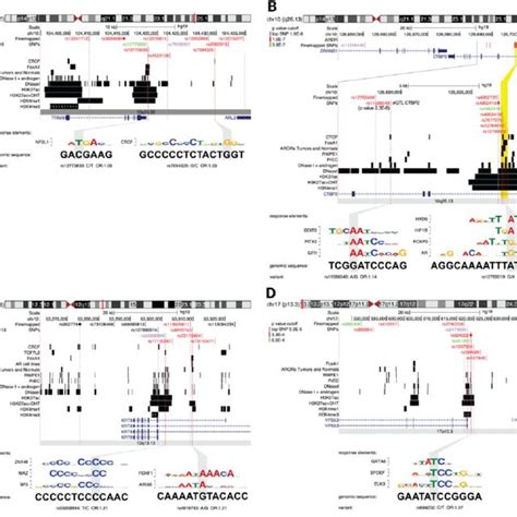 Genome Browser Views Of Four Candidate Risk Regions SNP Locations Are