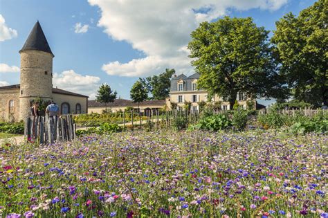 Bordeaux En Primeur Preview Our Annual Pilgrimage Bon Coeur Fine