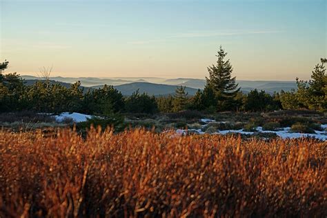 Vogesen und Elsass im Winter Stille Natur Fachwerkdörfer im