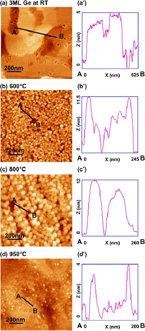 Typical Afm 1 µm × 1 µm Images A D And Corresponding Height