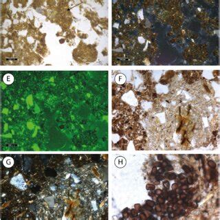 Relevant micromorphological features of pedo-sedimentary sequences of ...