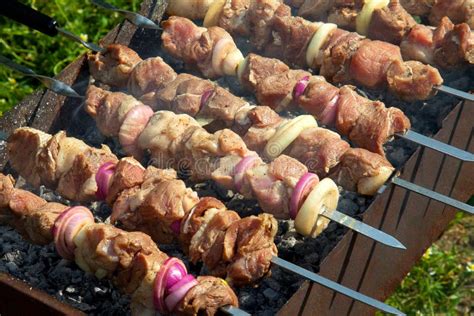 Fresh Kebab Prepares On The Fire Outdoors Stock Image Image Of