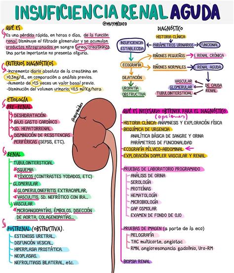 Mapa Conceptual De Insuficiencia Renal Cronica Diary Bersama