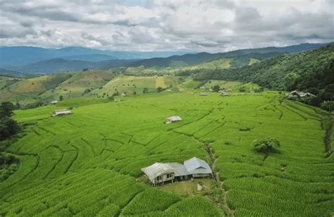 Doi Inthanon: A Hiker's Guide to Thailand's Highest Peak