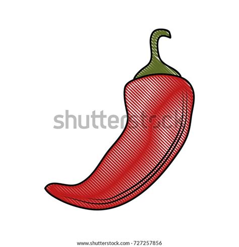 Chilli Hot Vegetable Stock Vector Royalty Free 727257856 Shutterstock