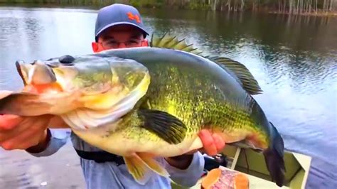 Biggest Largemouth Bass Caught On Camera Compilation Youtube