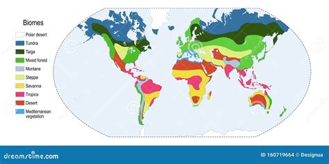 Biomes. world map stock vector. Illustration of america - 160719664