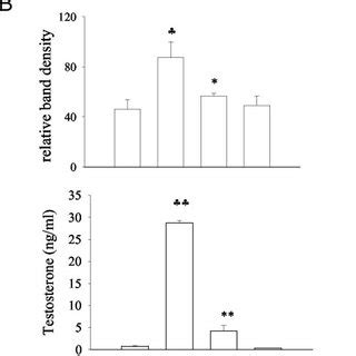 Effects Of Uo On De Novo Synthesis Of The Star Protein And On