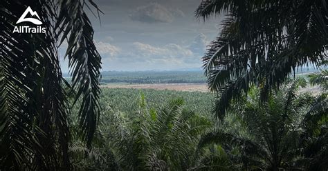 Best Hikes And Trails In Padang Serai Alltrails