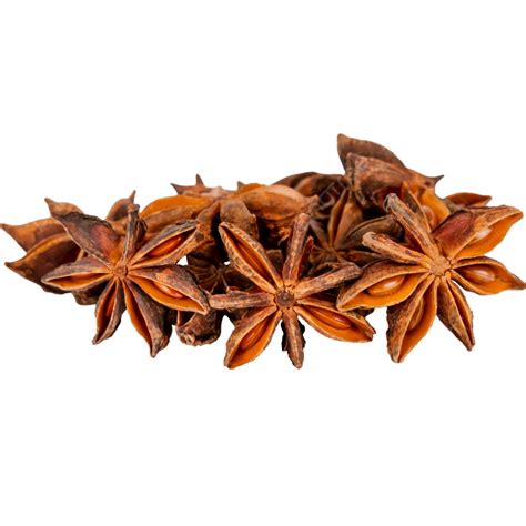 Star Anise Spices Png Vector Psd And Clipart With Transparent