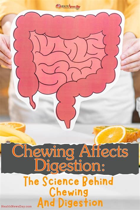 Chewing Affects Digestion The Science Behind Chewing And Digestion In