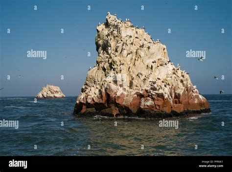 Guano Islands - Islas Ballestas, Islands off Peru Stock Photo - Alamy