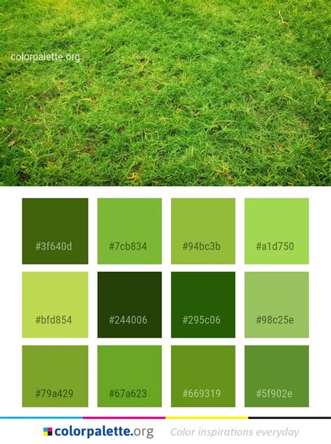 Grass Ecosystem Vegetation Color Palette | colorpalette.org