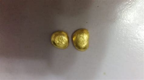 Gold Nuggets Universal Gold Trade Service Ltd All Biz