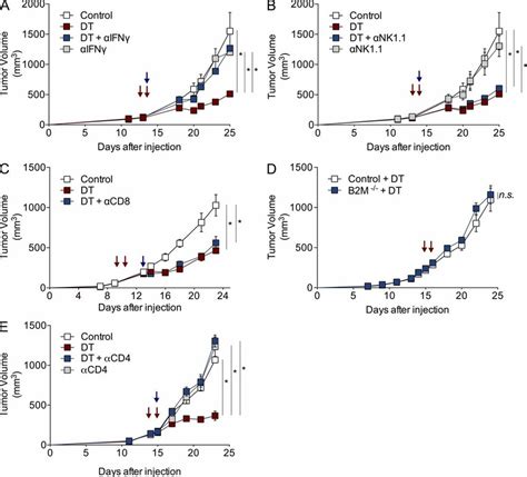 Anti Tumor Effect Of T Reg Cell Ablation Requires Cd4⁺ T Cells And