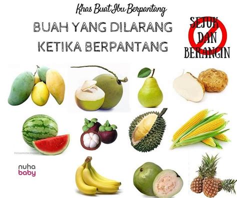 Buah Apa Saja Yang Tidak Boleh Dimakan Ibu Hamil