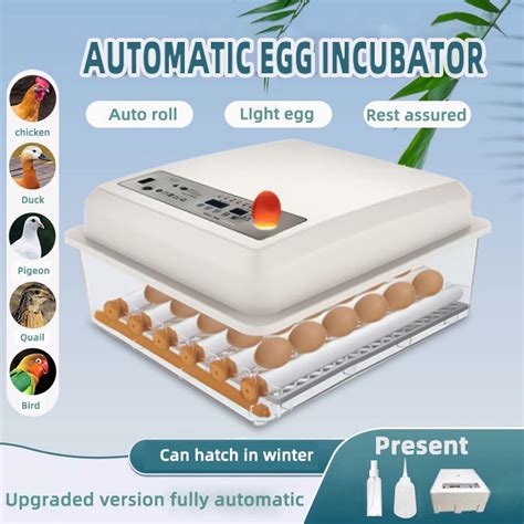 Egg Malaysia Automatic Turning Incubator Egg Hatcher Automatik