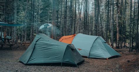 Tents in a Forest · Free Stock Photo