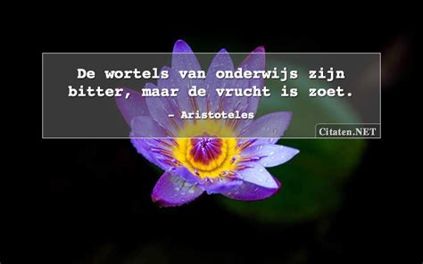 Citaten Met Onderwijs Citaten Quotes Uitspraken En Wijsheden