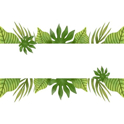 Bingkai Daun Tropis Png Bingkai Folhas Hiasan Undangan Imagem Png E