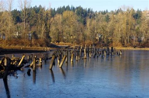 Washougal River Greenway Loop Hike - Hiking in Portland, Oregon and ...