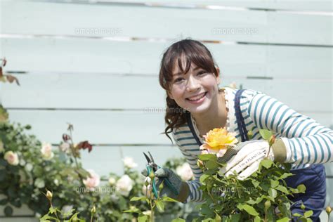 バラの咲く庭でガーデニングを楽しむ女性 11038015788 の写真素材・イラスト素材｜アマナイメージズ