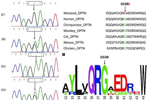 Sequencing And Comparative Analysis A Results Of Sanger Sequencing