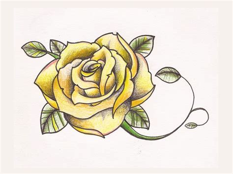 Yellow Rose Drawing At Getdrawings Free Download