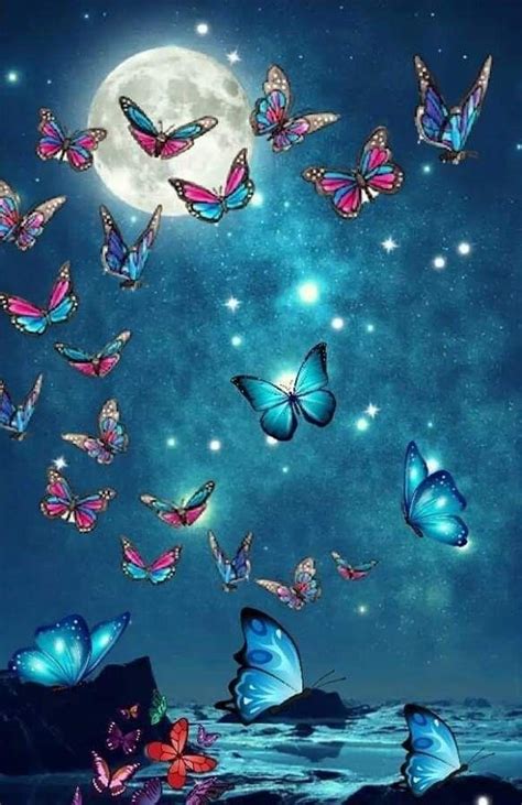 Butterflies in the Night Sky