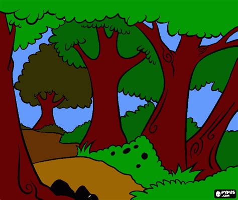 Forest Colour Coloring Page Printable Forest Colour